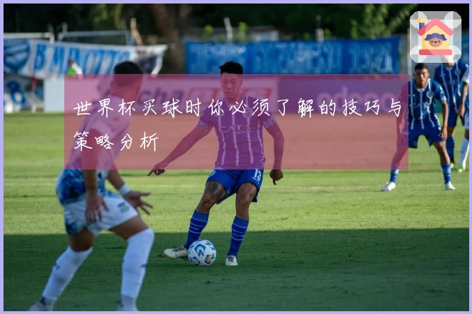 世界杯买球时你必须了解的技巧与策略分析