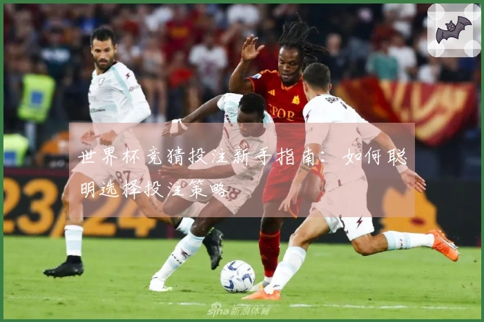 世界杯竞猜投注新手指南：如何聪明选择投注策略