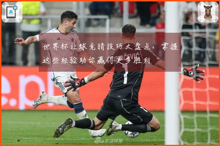 世界杯让球竞猜技巧大盘点，掌握这些经验助你赢得更多胜利