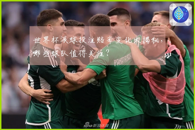 世界杯滚球投注赔率变化大揭秘，哪些球队值得关注？