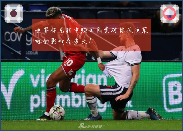 世界杯竞猜中赔率因素对你投注策略的影响有多大？